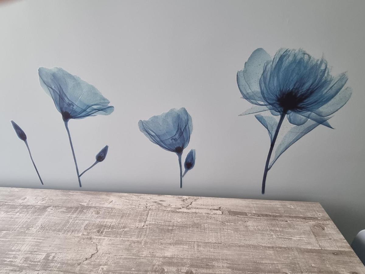 Blue House Apartment - San Massimo Werona Zewnętrze zdjęcie
